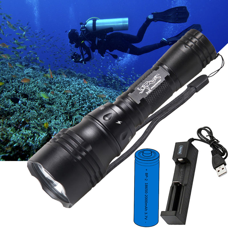 Diving Lamp Portable 10W T6 L2 - Fish Finder Charger ulasan dan harga